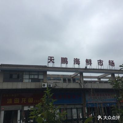 无锡龙鱼vs祥龙鱼场（无锡龙鱼和祥龙鱼场） 全国水族馆企业名录 第4张