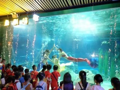 忻州水族馆vs祥龙鱼场（忻州水族馆与祥龙鱼场各有侧重） 全国水族馆企业名录 第2张