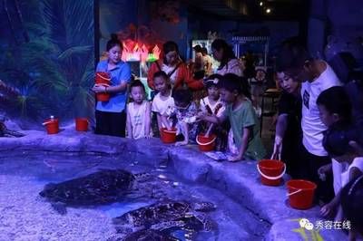 忻州水族馆vs祥龙鱼场（忻州水族馆与祥龙鱼场各有侧重） 全国水族馆企业名录 第4张