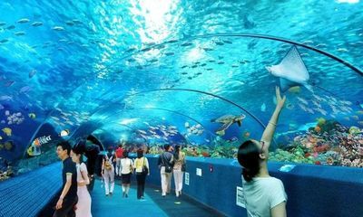 忻州水族馆vs祥龙鱼场（忻州水族馆与祥龙鱼场各有侧重） 全国水族馆企业名录 第3张