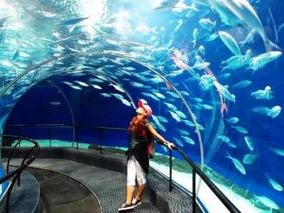 商丘水族馆vs祥龙鱼场（中国河南商丘水族馆祥龙鱼场在中国和马来西亚均有业务） 全国水族馆企业名录 第4张