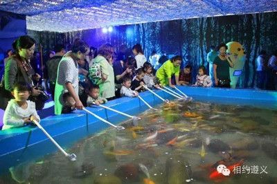 遵义水族馆vs祥龙鱼场（遵义水族馆和祥龙鱼场各有特点，选择哪一个取决于你的具体需求） 全国水族馆企业名录 第2张