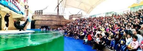 遵义水族馆vs祥龙鱼场（遵义水族馆和祥龙鱼场各有特点，选择哪一个取决于你的具体需求） 全国水族馆企业名录 第5张