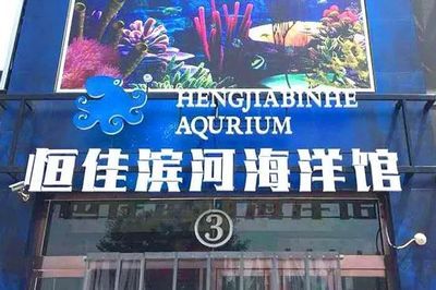 阳泉水族馆vs祥龙鱼场（阳泉水族馆与祥龙鱼场各有特点） 全国水族馆企业名录 第2张