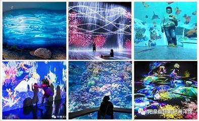 阳泉水族馆vs祥龙鱼场（阳泉水族馆与祥龙鱼场各有特点） 全国水族馆企业名录 第5张