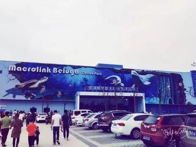 芜湖水族馆vs祥龙鱼场（芜湖水族馆与祥龙鱼场的区别） 全国水族馆企业名录 第2张