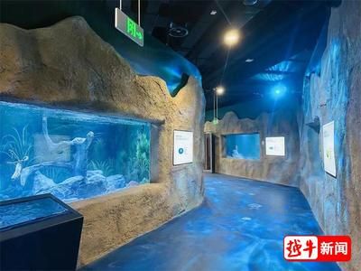 绍兴水族馆vs祥龙鱼场（绍兴水族馆与祥龙鱼场各有侧重） 全国水族馆企业名录 第3张