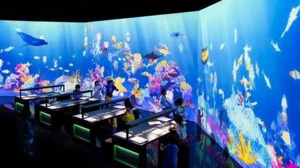 廊坊水族馆vs祥龙鱼场（廊坊水族馆与祥龙鱼场各有侧重） 全国水族馆企业名录 第3张