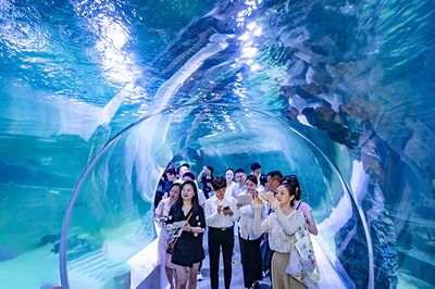 自贡水族馆vs祥龙鱼场（自贡水族馆和祥龙鱼场各有特色） 全国水族馆企业名录 第2张