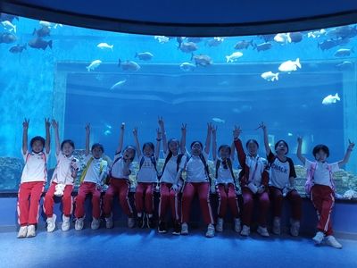 九江水族馆vs祥龙鱼场（九江水族馆与祥龙鱼场之前，我们需要明确两者的主要业务和特点） 全国水族馆企业名录 第2张