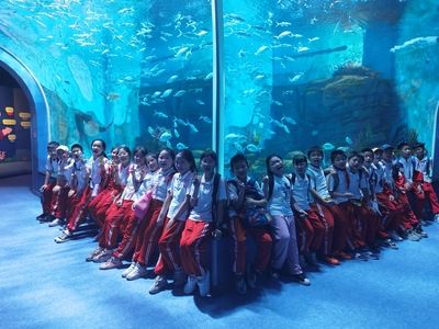 九江水族馆vs祥龙鱼场（九江水族馆与祥龙鱼场之前，我们需要明确两者的主要业务和特点） 全国水族馆企业名录 第5张