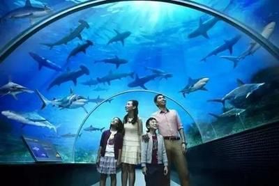 岳阳水族馆vs祥龙鱼场（岳阳水族馆与祥龙鱼场各有其特色和优势） 全国水族馆企业名录 第4张