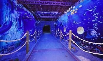 阳江水族馆vs祥龙鱼场（阳江水族馆与祥龙鱼场的区别） 全国水族馆企业名录 第5张