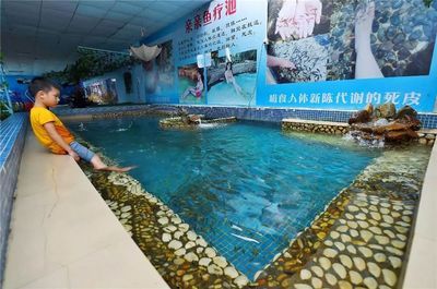 阳江水族馆vs祥龙鱼场（阳江水族馆与祥龙鱼场的区别） 全国水族馆企业名录 第3张