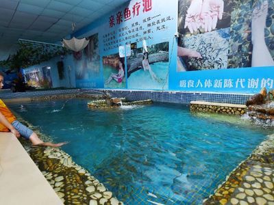 阳江水族馆vs祥龙鱼场（阳江水族馆与祥龙鱼场的区别） 全国水族馆企业名录 第2张