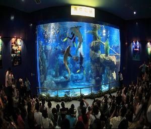 成都水族馆vs祥龙鱼场（成都水族馆与祥龙鱼场各有侧重） 全国水族馆企业名录 第4张