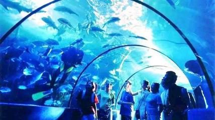 运城水族馆vs祥龙鱼场（运城水族馆与祥龙鱼场） 全国水族馆企业名录 第1张