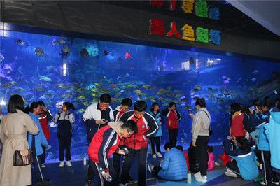 滨州水族馆vs祥龙鱼场（滨州水族馆与祥龙鱼场各有特点） 全国水族馆企业名录 第2张