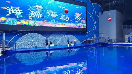 滨州水族馆vs祥龙鱼场（滨州水族馆与祥龙鱼场各有特点） 全国水族馆企业名录 第1张