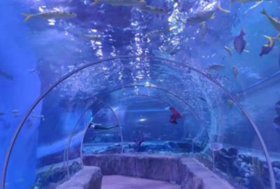 平顶山水族馆vs祥龙鱼场（平顶山水族馆与祥龙鱼场之间的差异之前，我们需要明确的业务范围） 全国水族馆企业名录 第2张