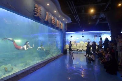 淮北水族馆vs祥龙鱼场（淮北市相山区龙鳞阁水族馆和淮北市相山区居龙坊水族馆） 全国水族馆企业名录 第2张