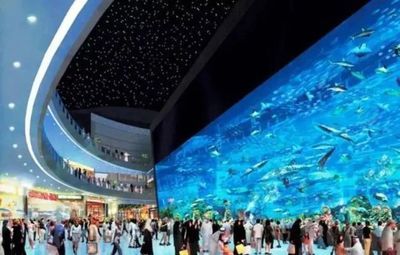 榆林水族馆vs祥龙鱼场（榆林市榆阳区水森林水族馆和祥龙鱼场有着更深的影响力） 全国水族馆企业名录 第2张