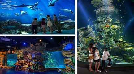 榆林水族馆vs祥龙鱼场（榆林市榆阳区水森林水族馆和祥龙鱼场有着更深的影响力） 全国水族馆企业名录 第1张