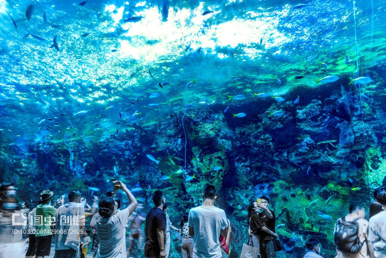 珠海水族馆vs祥龙鱼场（探讨珠海水族馆与祥龙鱼场之间的差异） 全国水族馆企业名录 第1张