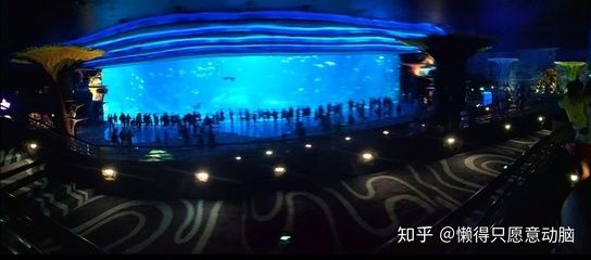 珠海水族馆vs祥龙鱼场（探讨珠海水族馆与祥龙鱼场之间的差异） 全国水族馆企业名录 第4张