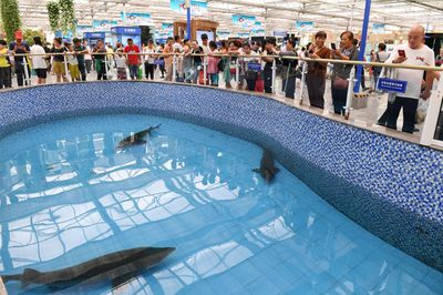 长春水族馆vs祥龙鱼场（长春水族馆和祥龙鱼场） 全国水族馆企业名录 第1张