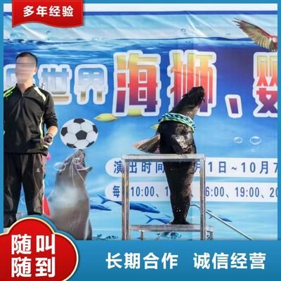 呼和浩特龙鱼vs祥龙鱼场（呼和浩特龙鱼祥龙鱼场在养殖环境、龙鱼品种、价格策略评价） 全国水族馆企业名录 第3张