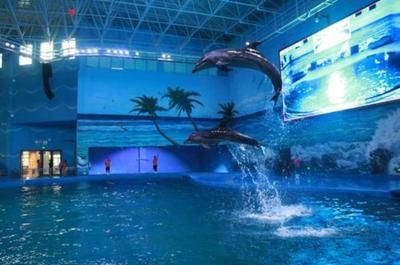 贵阳水族馆vs祥龙鱼场（贵阳南明海源涛水族馆） 全国水族馆企业名录 第2张