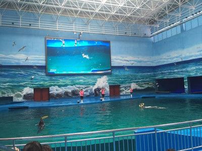 贵阳水族馆vs祥龙鱼场（贵阳南明海源涛水族馆） 全国水族馆企业名录 第1张