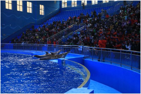 贵阳水族馆vs祥龙鱼场（贵阳南明海源涛水族馆） 全国水族馆企业名录 第3张