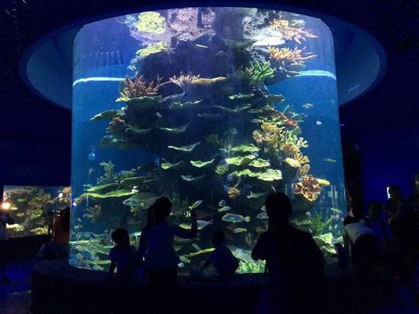 贵阳水族馆vs祥龙鱼场（贵阳南明海源涛水族馆） 全国水族馆企业名录 第4张