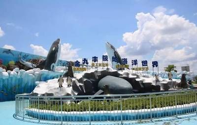 龙岩水族馆vs祥龙鱼场（龙岩水族馆一三五七养鱼新手也能养好鱼祥龙鱼场） 全国水族馆企业名录 第1张