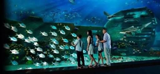 龙岩水族馆vs祥龙鱼场（龙岩水族馆一三五七养鱼新手也能养好鱼祥龙鱼场） 全国水族馆企业名录 第2张