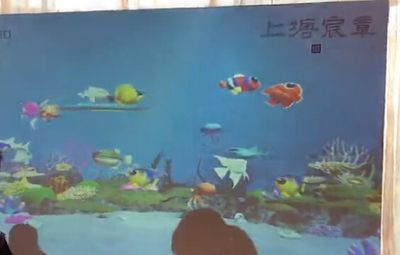 湛江水族馆vs祥龙鱼场（湛江水族馆与祥龙鱼场有什么区别？） 全国水族馆企业名录 第4张