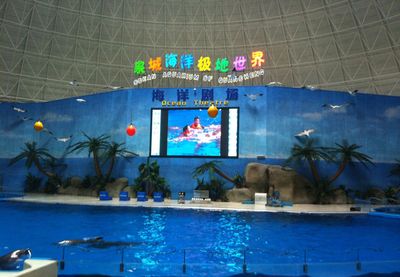 德州水族馆vs祥龙鱼场（德州水族馆与祥龙鱼场的区别） 全国水族馆企业名录 第2张