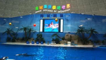 德州水族馆vs祥龙鱼场（德州水族馆与祥龙鱼场的区别） 全国水族馆企业名录 第3张