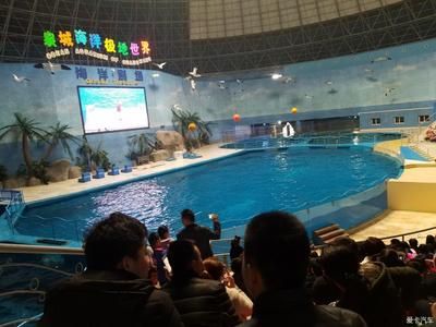 德州水族馆vs祥龙鱼场（德州水族馆与祥龙鱼场的区别） 全国水族馆企业名录 第4张