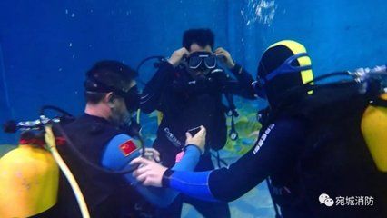 南阳水族馆vs祥龙鱼场（南阳水族馆和祥龙鱼场各有其特色和目标客户群） 全国水族馆企业名录 第1张