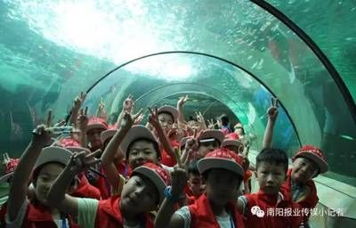 南阳水族馆vs祥龙鱼场（南阳水族馆和祥龙鱼场各有其特色和目标客户群） 全国水族馆企业名录 第2张