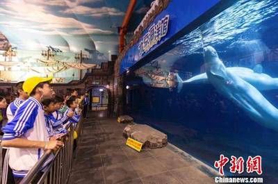 吕梁水族馆vs祥龙鱼场（吕梁水族馆与祥龙鱼场的区别） 全国水族馆企业名录 第2张