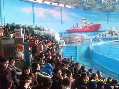 莱芜水族馆vs祥龙鱼场（莱芜水族馆和祥龙鱼场哪个好） 全国水族馆企业名录 第2张