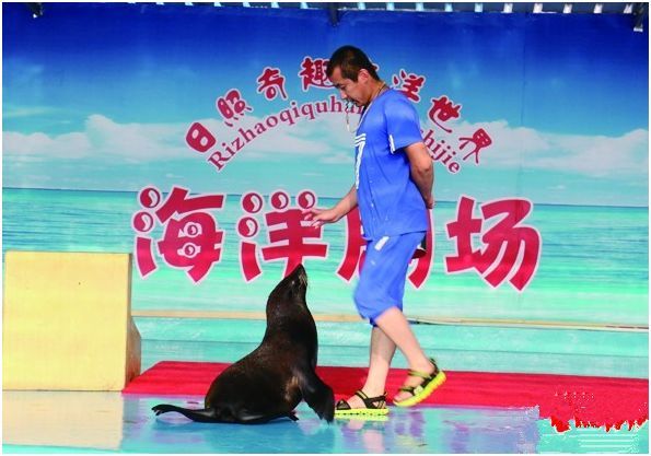 莱芜水族馆vs祥龙鱼场（莱芜水族馆和祥龙鱼场哪个好） 全国水族馆企业名录 第3张