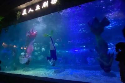 海口水族馆vs祥龙鱼场（海口水族馆与祥龙鱼场哪个好） 全国水族馆企业名录 第1张