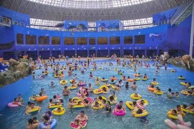 营口水族馆vs祥龙鱼场（营口水族馆和祥龙鱼场有什么区别？） 全国水族馆企业名录 第3张