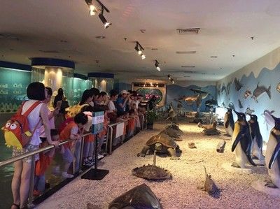 玉溪水族馆vs祥龙鱼场（玉溪水族馆与祥龙鱼场之间的差异之前，我们需要明确基本信息和业务范围） 全国水族馆企业名录 第4张