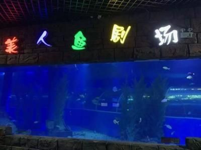 玉溪水族馆vs祥龙鱼场（玉溪水族馆与祥龙鱼场之间的差异之前，我们需要明确基本信息和业务范围） 全国水族馆企业名录 第5张